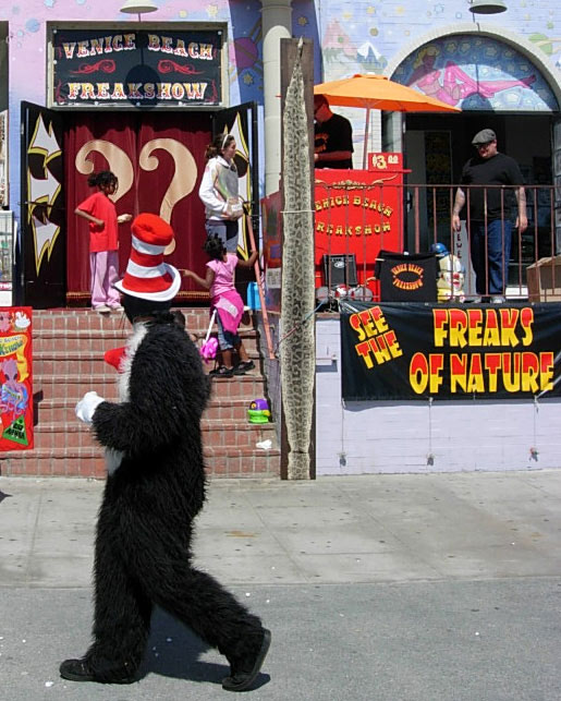 Living Next Door to the Stars: Hollywood’s Notorious Celebrity Neighbors